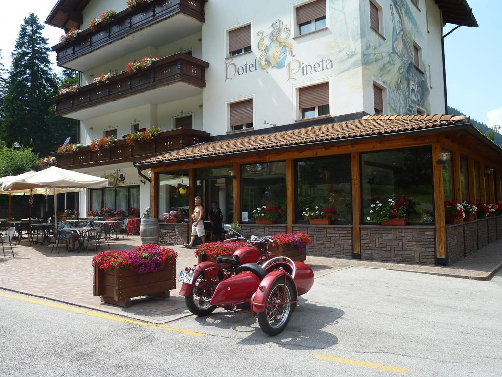 Hotel Pineta Baselga di Pinè Exteriér fotografie